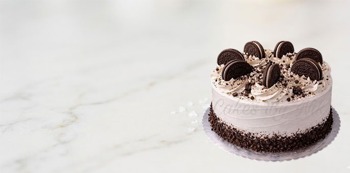 cms-banner1